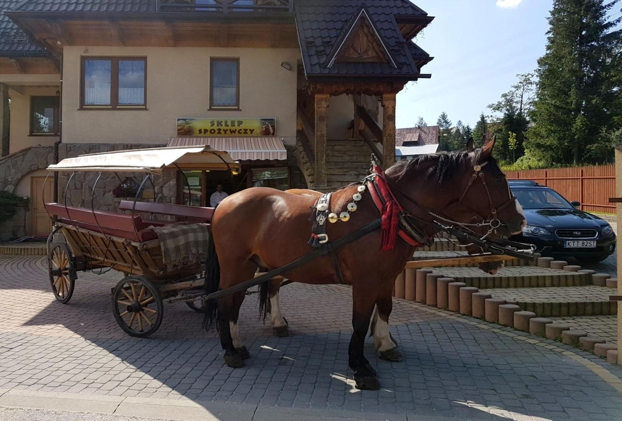 Pokoje Goscinne Pod Giewontem Zakopane Exterior photo