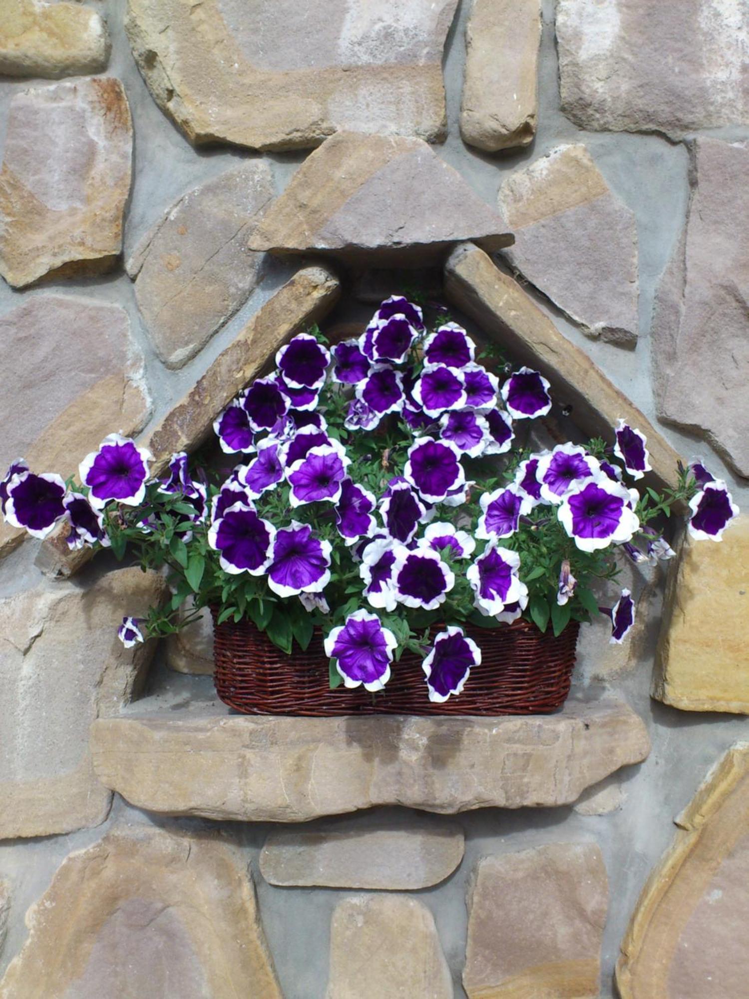Pokoje Goscinne Pod Giewontem Zakopane Exterior photo